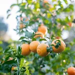Σπίτι διακοπών Kastro - Country Rhodes City